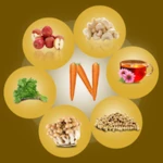 Logo of Nutrition Food android Application 